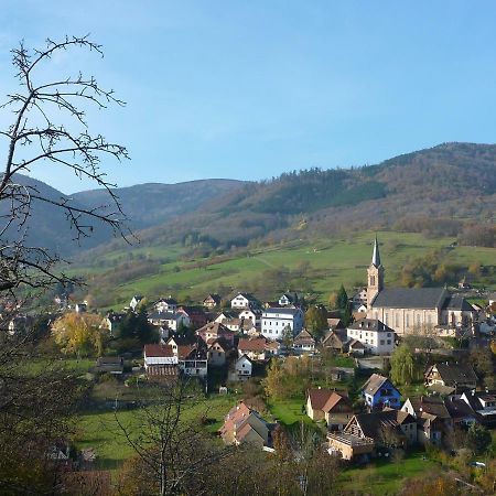 Gite Schlitteur Et Sapiniere Breitenbach Exteriör bild