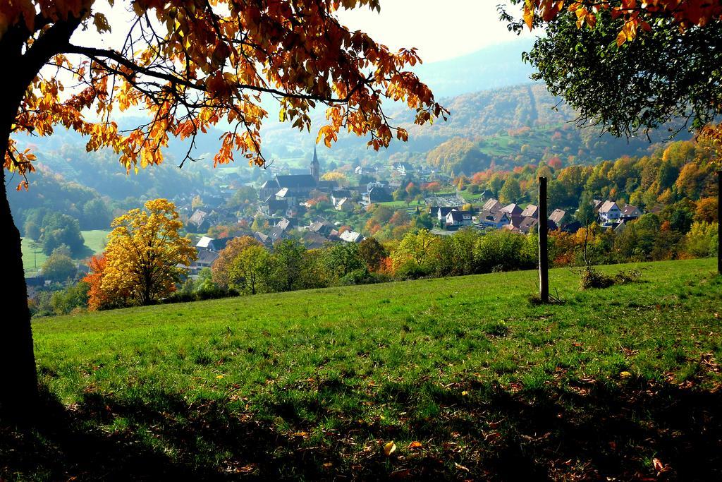 Gite Schlitteur Et Sapiniere Breitenbach Exteriör bild