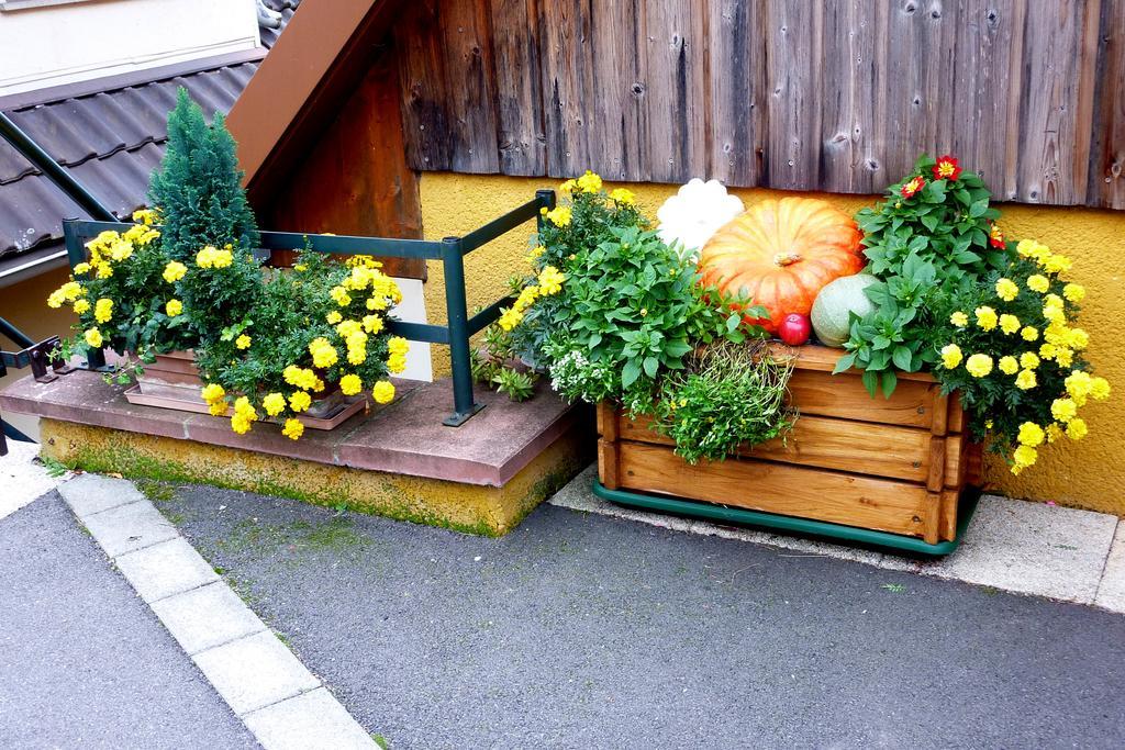 Gite Schlitteur Et Sapiniere Breitenbach Exteriör bild