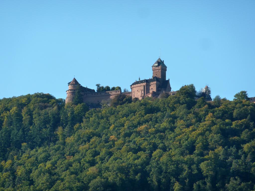 Gite Schlitteur Et Sapiniere Breitenbach Exteriör bild