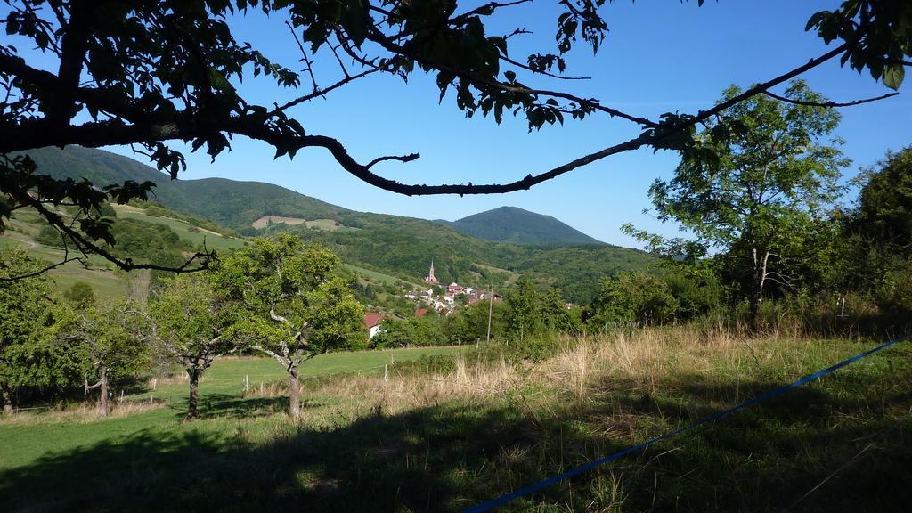 Gite Schlitteur Et Sapiniere Breitenbach Exteriör bild