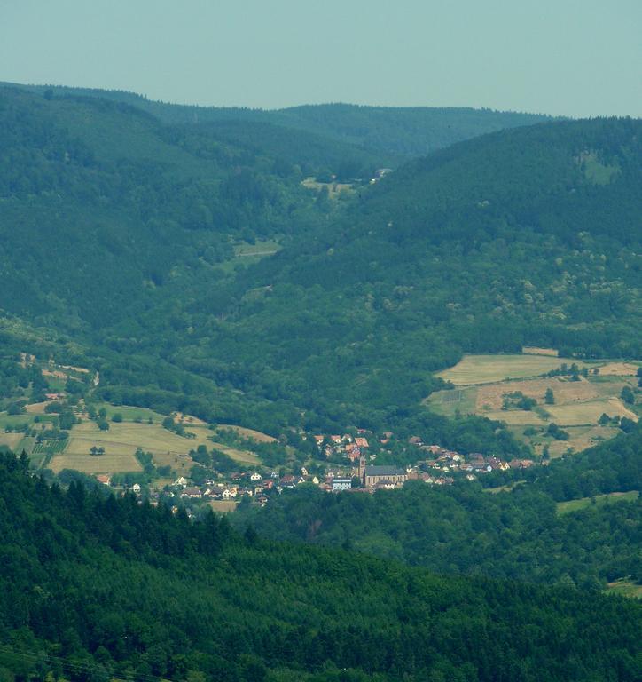 Gite Schlitteur Et Sapiniere Breitenbach Exteriör bild