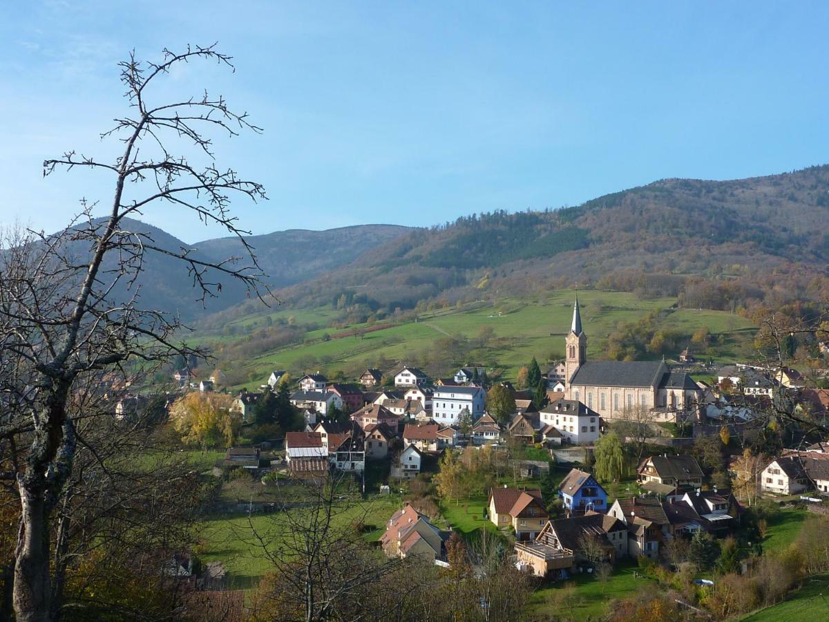 Gite Schlitteur Et Sapiniere Breitenbach Exteriör bild