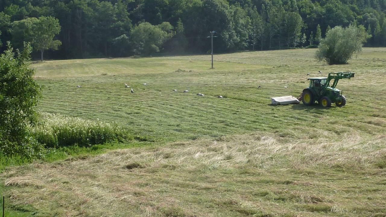 Gite Schlitteur Et Sapiniere Breitenbach Exteriör bild
